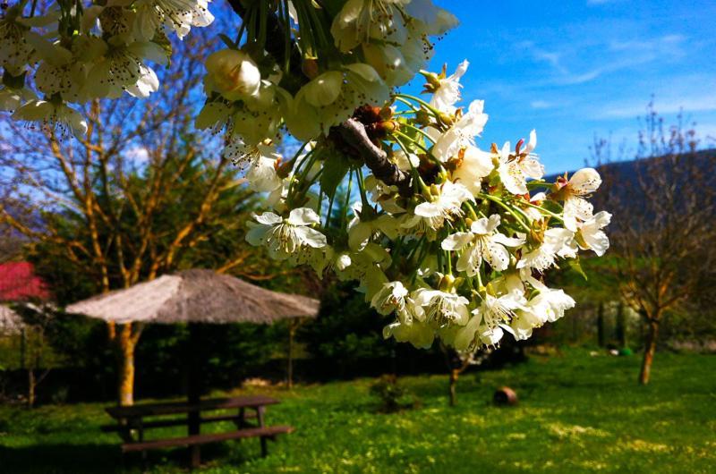 Arte Y Natura Valdivielso Hotel Quintana de Valdivielso ภายนอก รูปภาพ