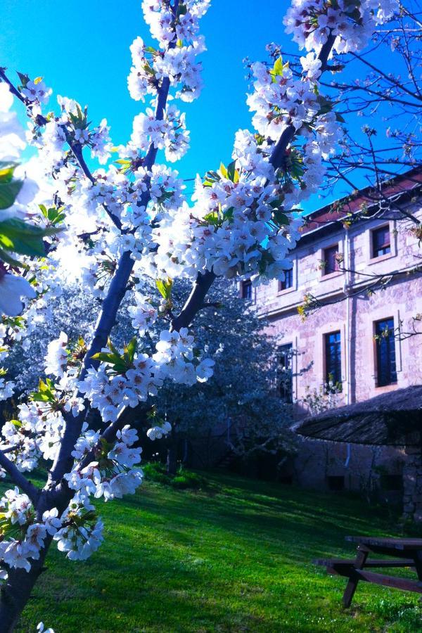 Arte Y Natura Valdivielso Hotel Quintana de Valdivielso ภายนอก รูปภาพ